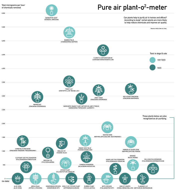 Pure air plant-o-meter - infographic