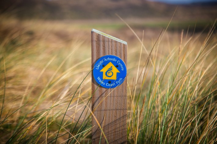 A blue and yellow sign in a grassy field.
Photo by Mike Erskin on Unslpash