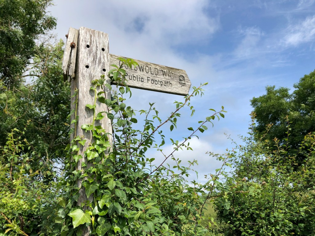 Cotswold way public footpath sign in spring.
Photo by Red Dot on Unsplash